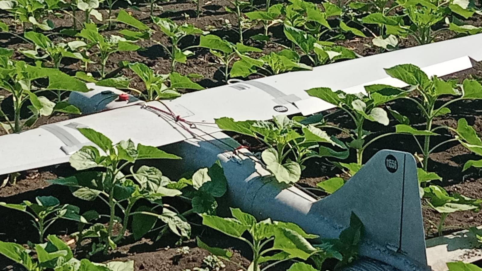 Підрозділ РЕБ ДШВ ЗС України “приземлив” БПЛА “Орлан-10” російських окупантів