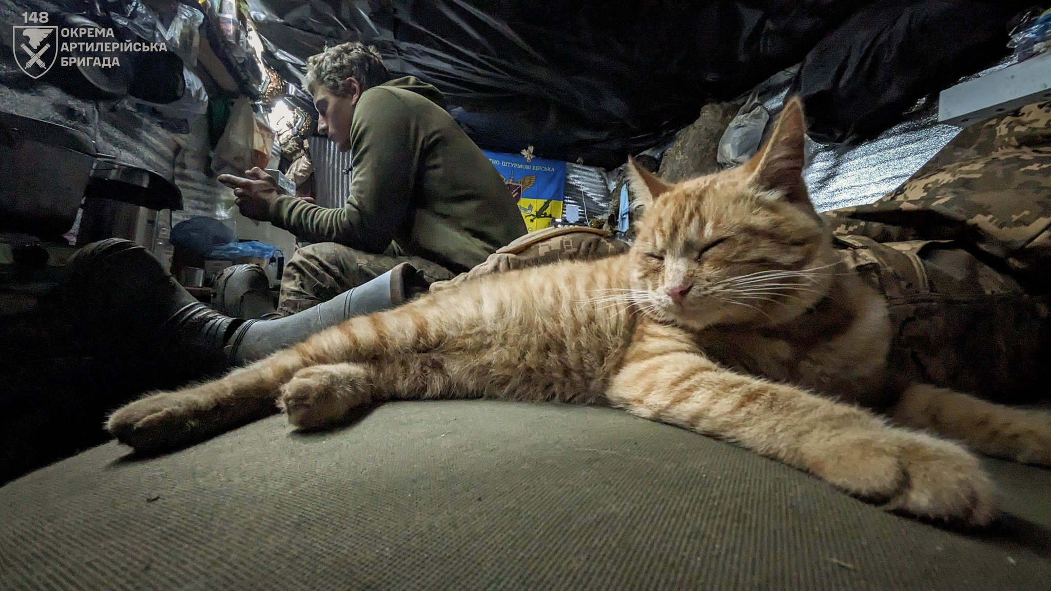 «Навіть якщо у тебе лапки, ти можеш бути корисним на фронті» - Кіт Паштет