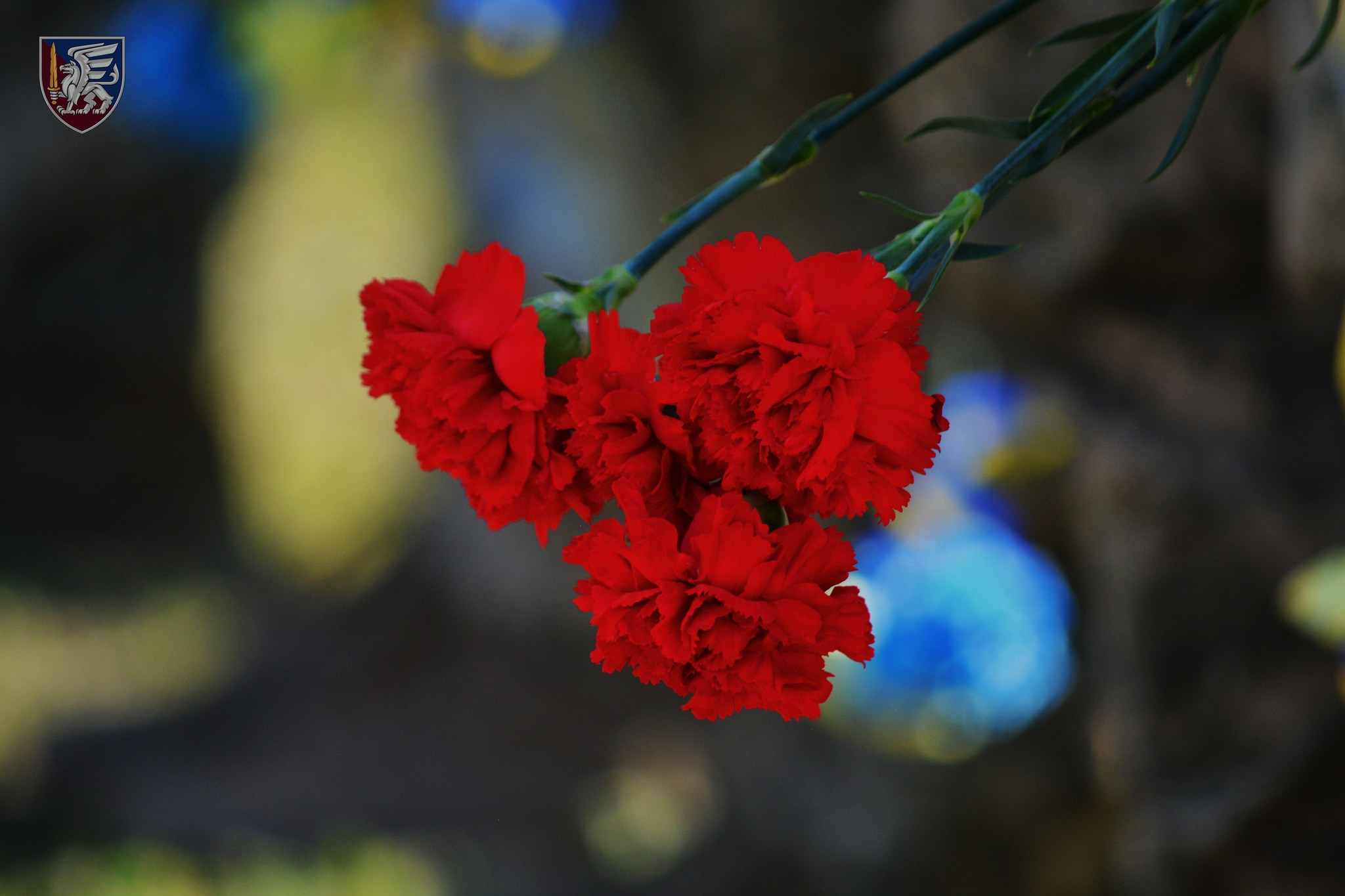 "Богородичне-Долина. Рубіж незламності"